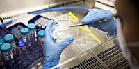 Novartis ist mit geplanter Morphosys-Übernahme am Ziel